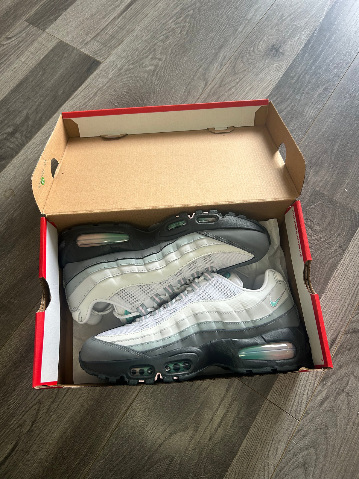 Nike Airmax 95 pink apple big bubble unworn