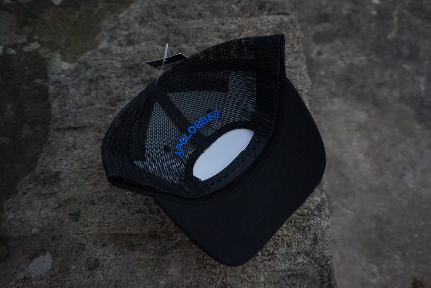 APC x air max 95 crystal blue cap